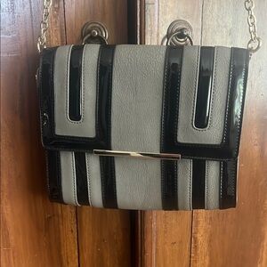 Glam Black and Gray Women's Clutch/Shoulder/Cross body